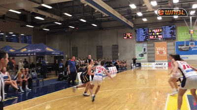 Ally Wilson had her best WNBL season, showing new dimensions to her game.