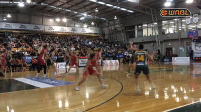 Two things that worked well for Dandenong in season 2016/17: crisp ball movement and Natalie Novosel shooting threes.